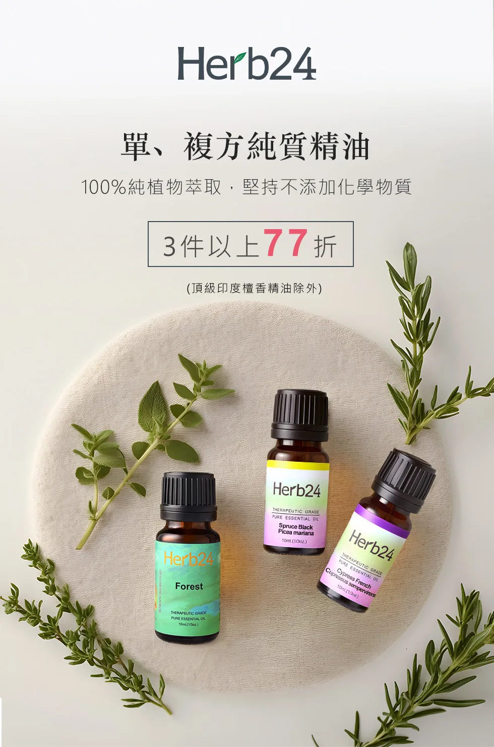 DM 第 4 頁