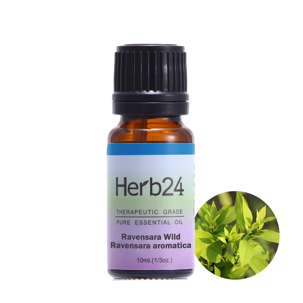 羅文沙葉 純質精油 10ml